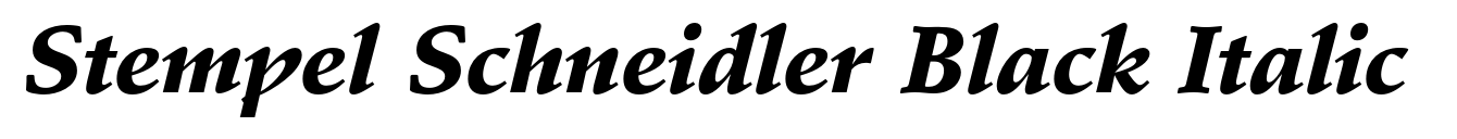 Stempel Schneidler Black Italic image